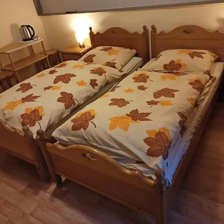 Gosciniec, Prywatne Przy Stoku W Zielencu Homestay *