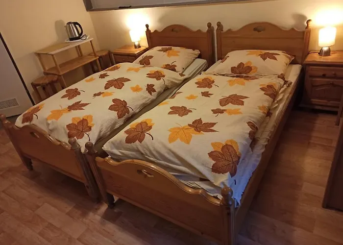 Gosciniec, Prywatne Przy Stoku W Zielencu Privatunterkunft *